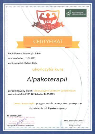 biała alpaka na trawniku